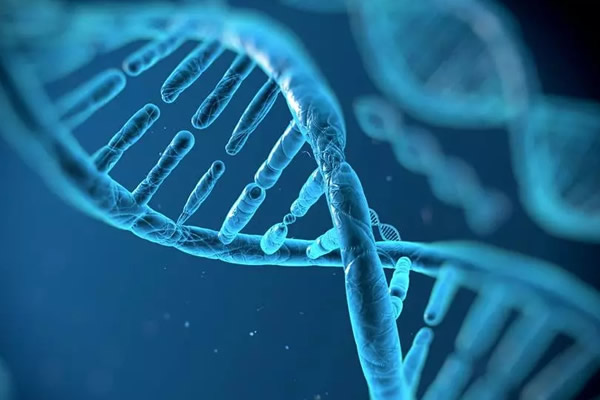 什么是RNA