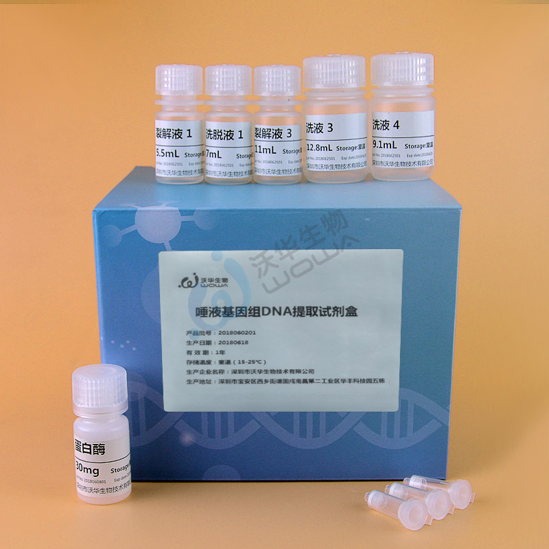 唾液DNA提取试剂盒