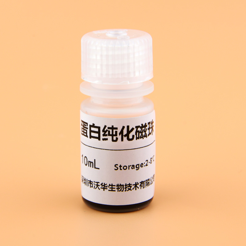 蛋白纯化磁珠