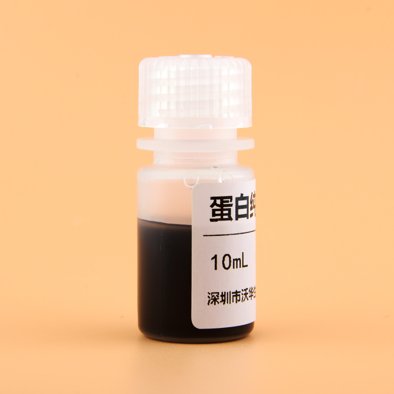 蛋白纯化磁珠