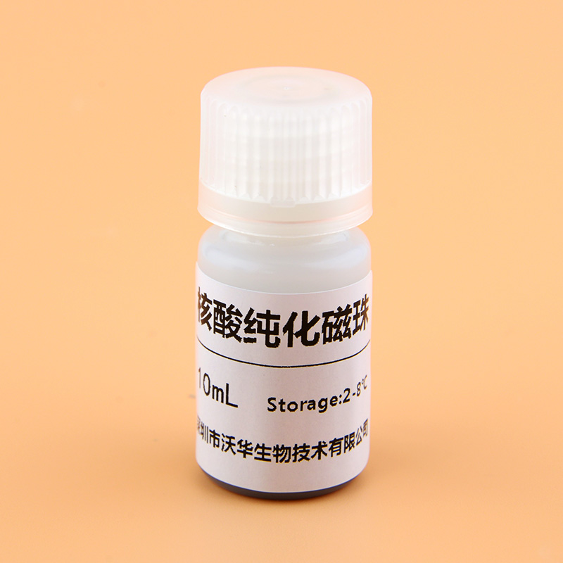 核酸纯化磁珠