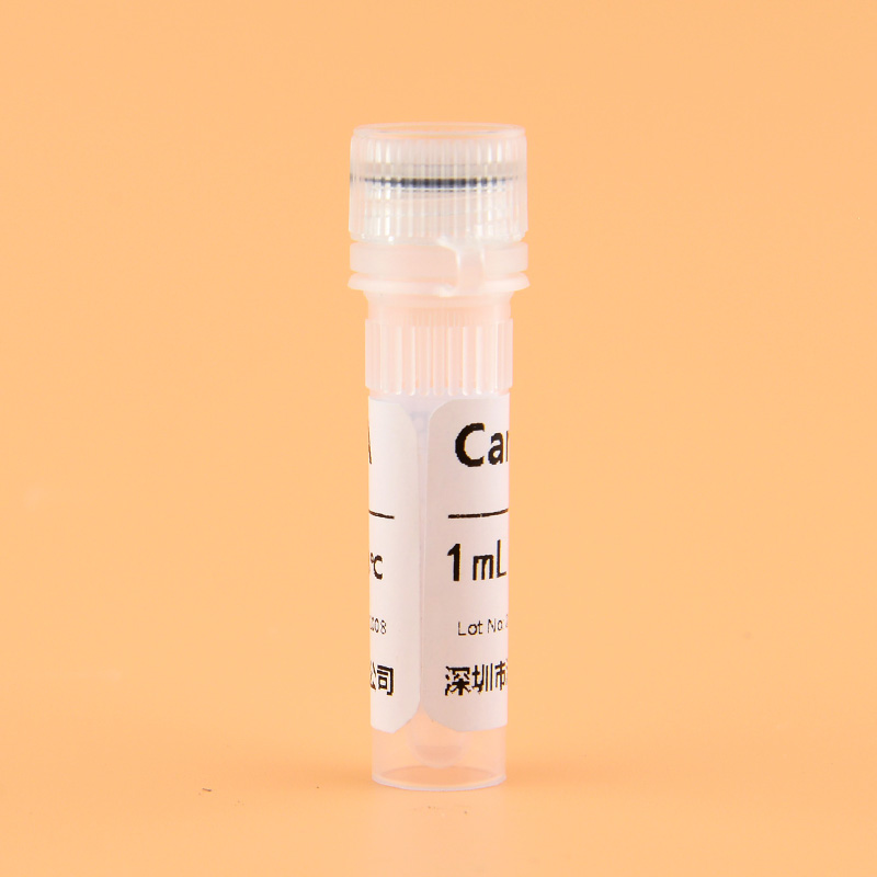 Carrier RNA