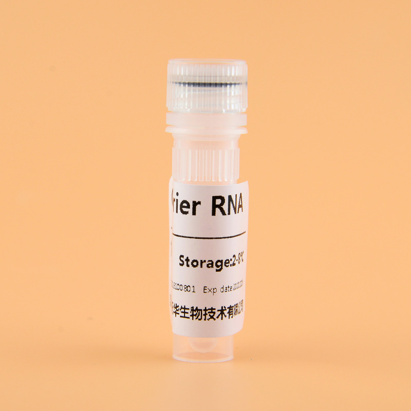 Carrier RNA