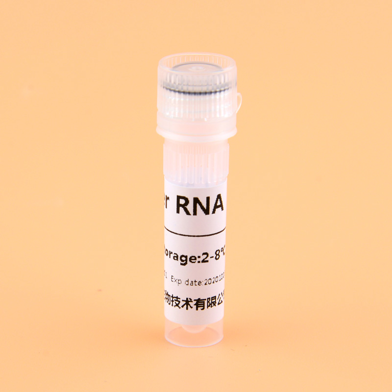 Carrier RNA