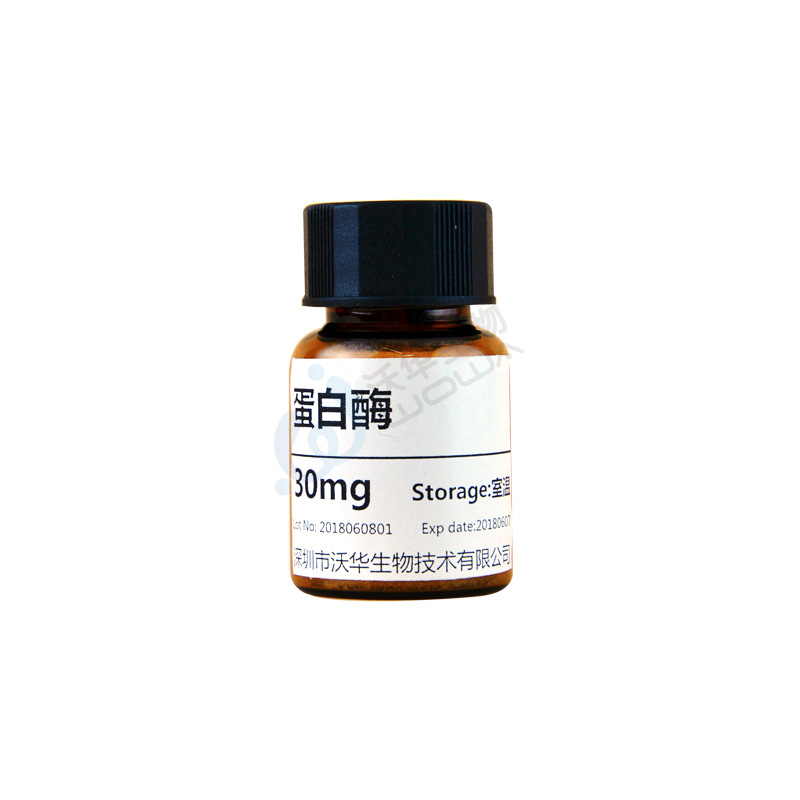 蛋白酶